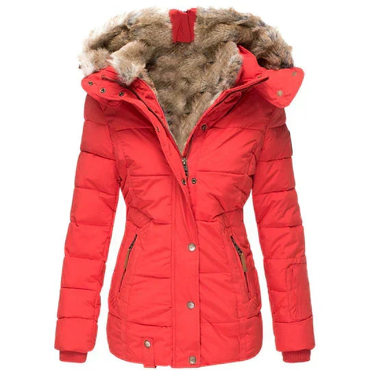 Men's Winter Jacket with Fur Hood | Quilted Warmth