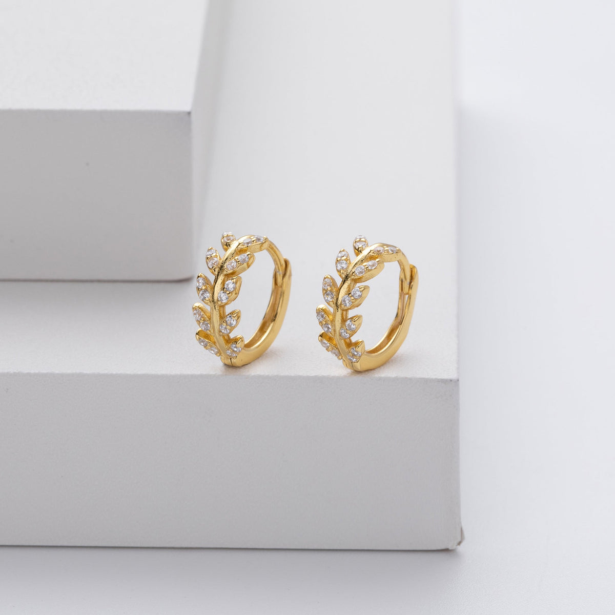 Stunning Silver Hoop Earrings for Women